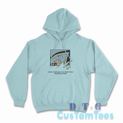 Dog Driver What A Feeling To Be Right Here Hoodie Color Light Blue