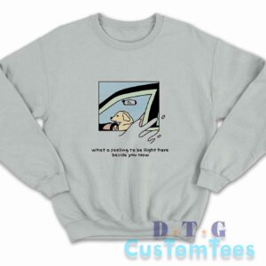 Dog Driver What A Feeling To Be Right Here Sweatshirt Color Grey