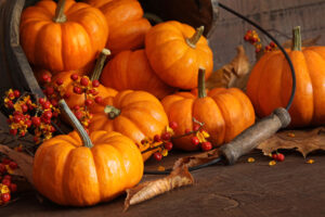Autumn Pumpkin